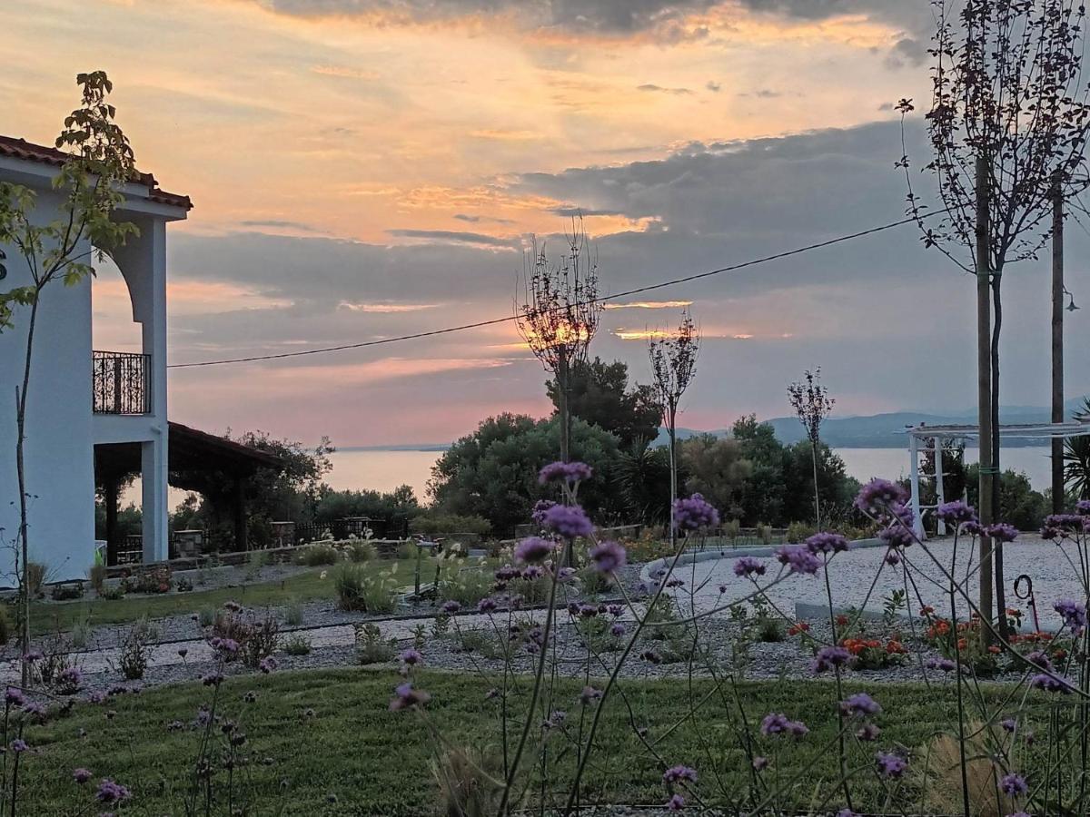 Nasa'S Suites Nikiti (Sithonia) Exterior foto